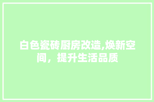 白色瓷砖厨房改造,焕新空间，提升生活品质