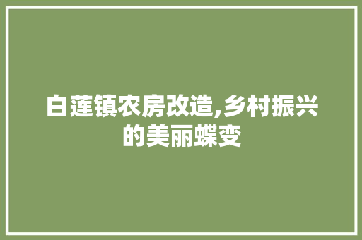 白莲镇农房改造,乡村振兴的美丽蝶变