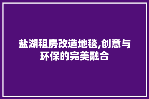 盐湖租房改造地毯,创意与环保的完美融合