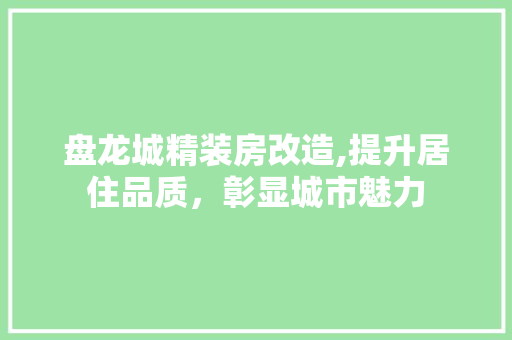 盘龙城精装房改造,提升居住品质，彰显城市魅力