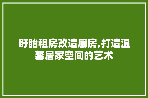 盱眙租房改造厨房,打造温馨居家空间的艺术