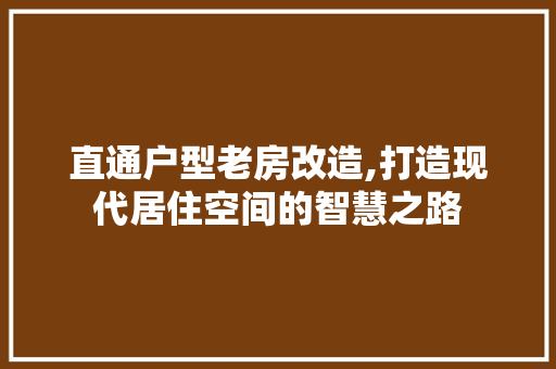 直通户型老房改造,打造现代居住空间的智慧之路 装修攻略