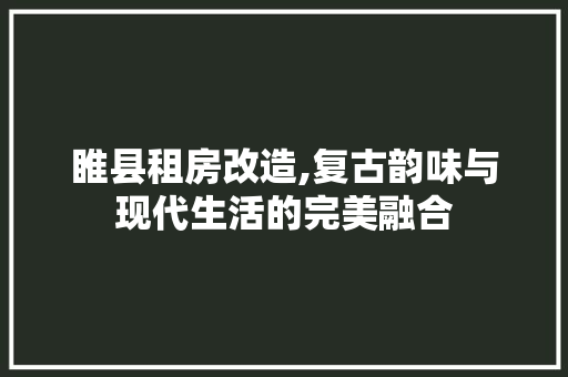 睢县租房改造,复古韵味与现代生活的完美融合 景观设计