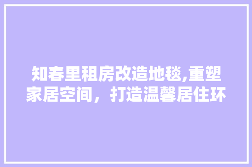 知春里租房改造地毯,重塑家居空间，打造温馨居住环境