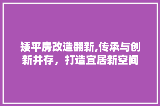 矮平房改造翻新,传承与创新并存，打造宜居新空间 装修材料