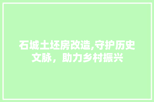 石城土坯房改造,守护历史文脉，助力乡村振兴