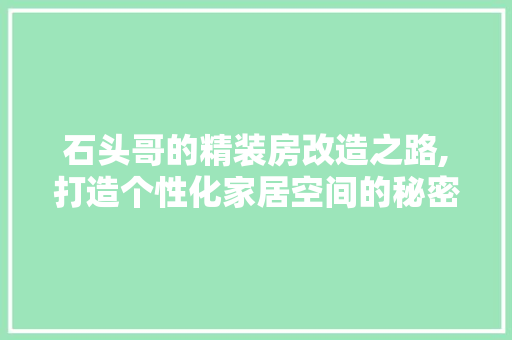 石头哥的精装房改造之路,打造个性化家居空间的秘密武器 庭院装修