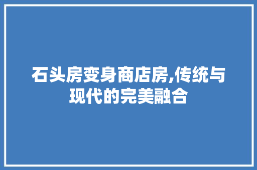 石头房变身商店房,传统与现代的完美融合
