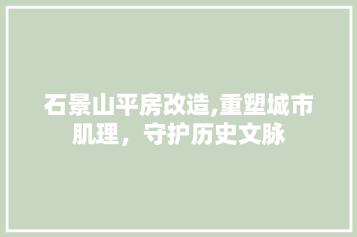 石景山平房改造,重塑城市肌理，守护历史文脉