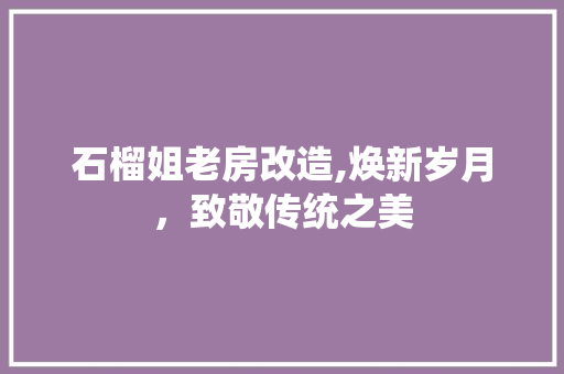 石榴姐老房改造,焕新岁月，致敬传统之美