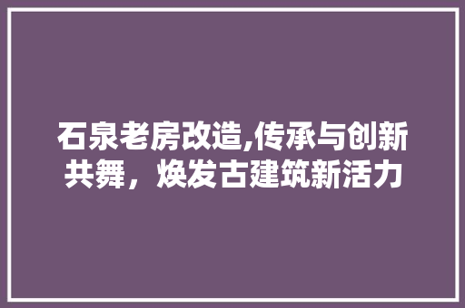 石泉老房改造,传承与创新共舞，焕发古建筑新活力
