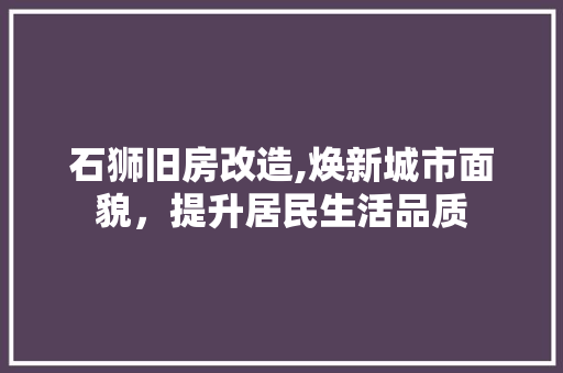 石狮旧房改造,焕新城市面貌，提升居民生活品质