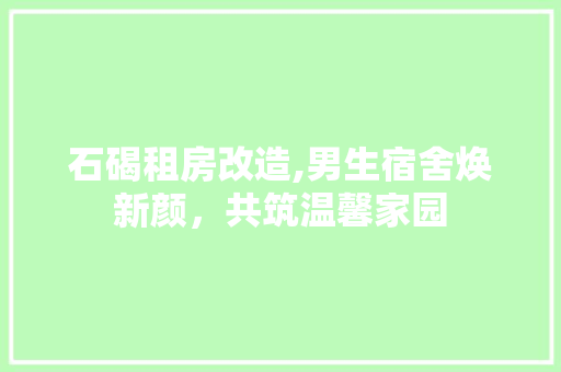 石碣租房改造,男生宿舍焕新颜，共筑温馨家园