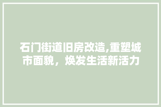 石门街道旧房改造,重塑城市面貌，焕发生活新活力 地面装修