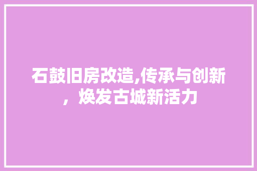 石鼓旧房改造,传承与创新，焕发古城新活力