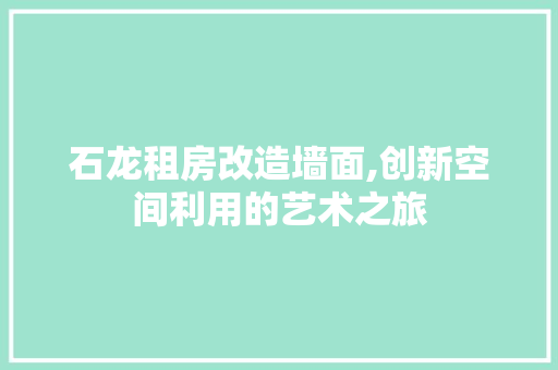 石龙租房改造墙面,创新空间利用的艺术之旅 隔断设计