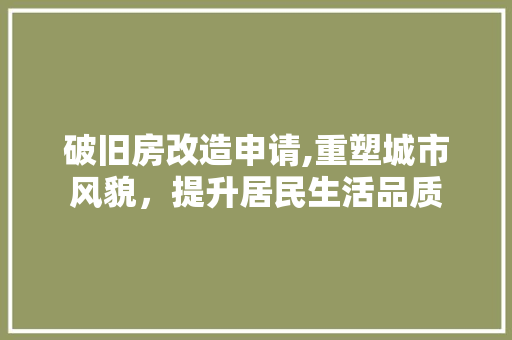 破旧房改造申请,重塑城市风貌，提升居民生活品质