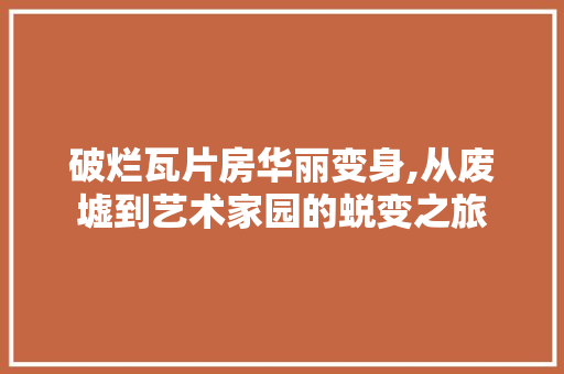 破烂瓦片房华丽变身,从废墟到艺术家园的蜕变之旅