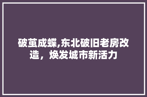 破茧成蝶,东北破旧老房改造，焕发城市新活力 门窗装修