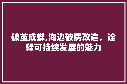 破茧成蝶,海边破房改造，诠释可持续发展的魅力 地面装修