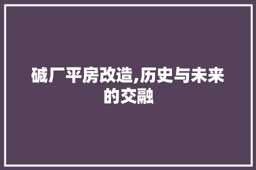碱厂平房改造,历史与未来的交融 装修攻略