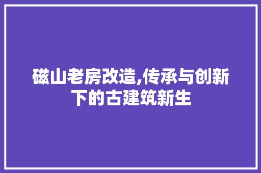 磁山老房改造,传承与创新下的古建筑新生
