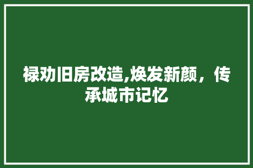 禄劝旧房改造,焕发新颜，传承城市记忆 隔断设计