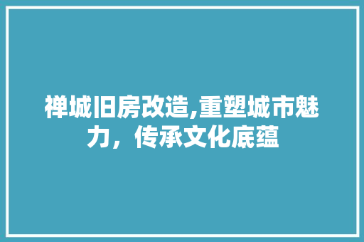 禅城旧房改造,重塑城市魅力，传承文化底蕴