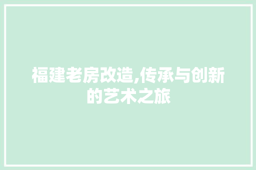 福建老房改造,传承与创新的艺术之旅