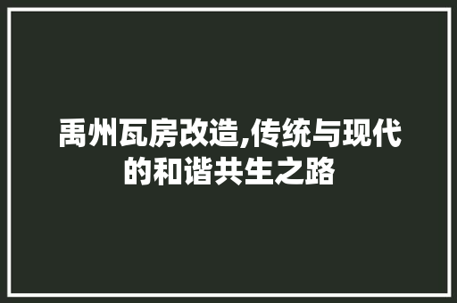 禹州瓦房改造,传统与现代的和谐共生之路