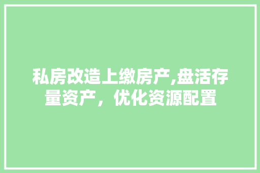 私房改造上缴房产,盘活存量资产，优化资源配置 装修材料