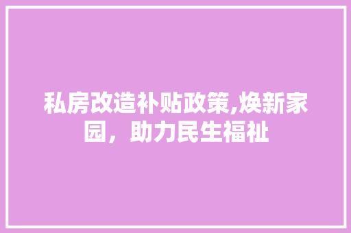私房改造补贴政策,焕新家园，助力民生福祉 地面装修
