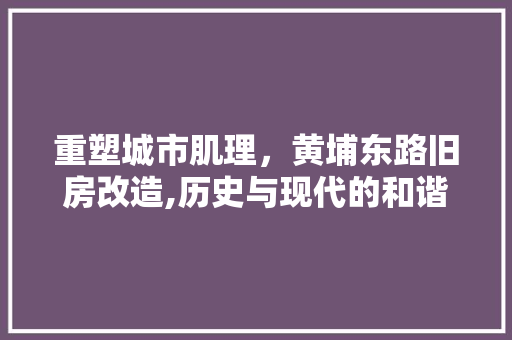 重塑城市肌理，黄埔东路旧房改造,历史与现代的和谐交响