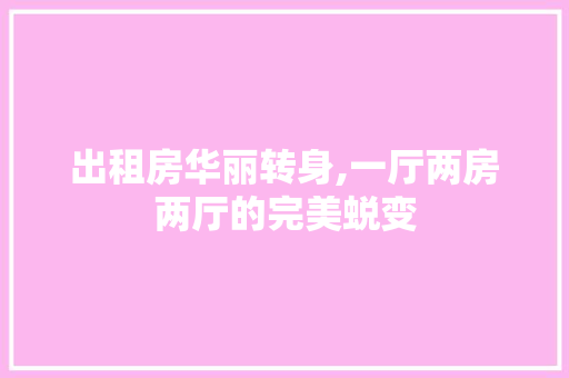 出租房华丽转身,一厅两房两厅的完美蜕变