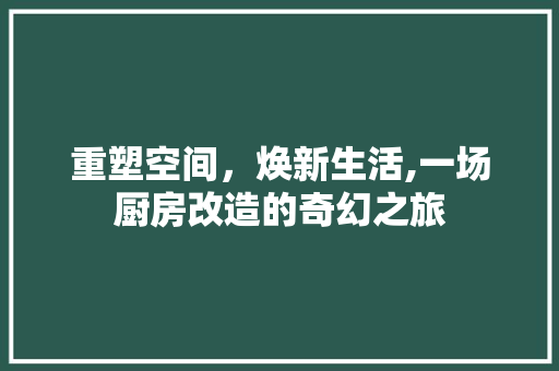重塑空间，焕新生活,一场厨房改造的奇幻之旅 建筑设计