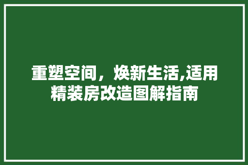 重塑空间，焕新生活,适用精装房改造图解指南