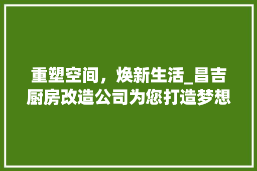 重塑空间，焕新生活_昌吉厨房改造公司为您打造梦想厨房 建筑设计