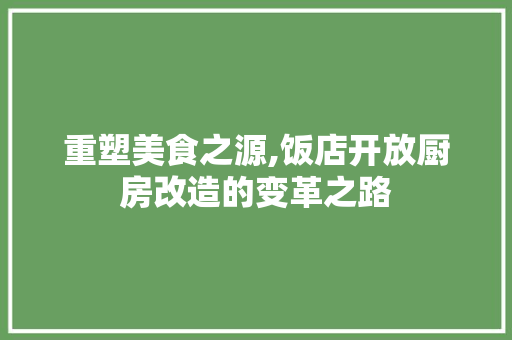 重塑美食之源,饭店开放厨房改造的变革之路