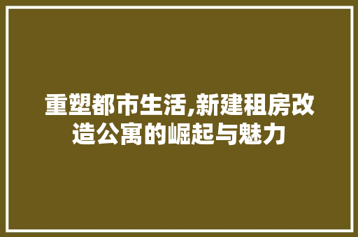 重塑都市生活,新建租房改造公寓的崛起与魅力 门窗装修