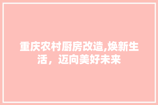 重庆农村厨房改造,焕新生活，迈向美好未来