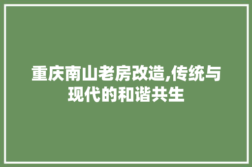 重庆南山老房改造,传统与现代的和谐共生 门窗装修