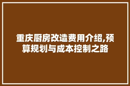 重庆厨房改造费用介绍,预算规划与成本控制之路