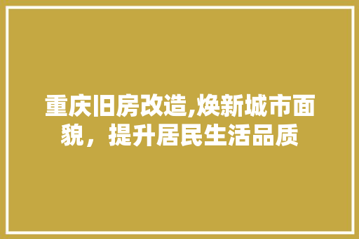 重庆旧房改造,焕新城市面貌，提升居民生活品质