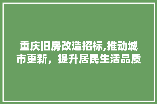 重庆旧房改造招标,推动城市更新，提升居民生活品质