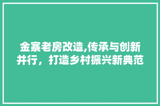 金寨老房改造,传承与创新并行，打造乡村振兴新典范