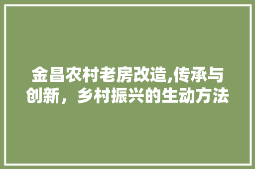 金昌农村老房改造,传承与创新，乡村振兴的生动方法