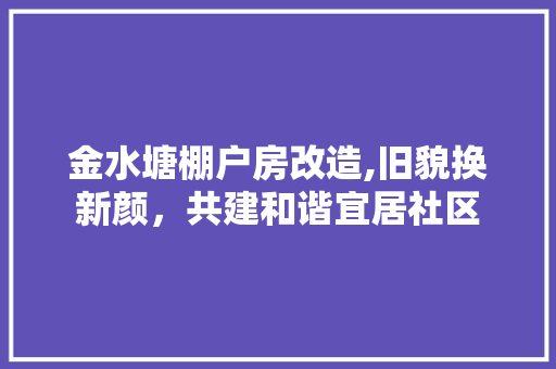金水塘棚户房改造,旧貌换新颜，共建和谐宜居社区 装修攻略