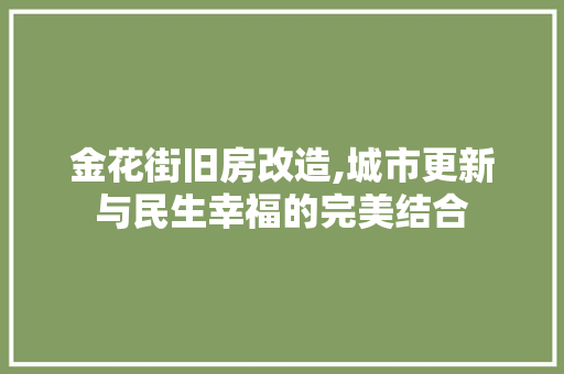 金花街旧房改造,城市更新与民生幸福的完美结合