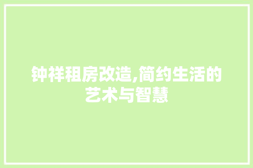 钟祥租房改造,简约生活的艺术与智慧 地面装修