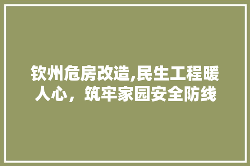 钦州危房改造,民生工程暖人心，筑牢家园安全防线